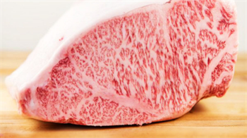 Bò kobe a5 ở đâu uy tín chất lượng?