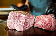Ở đâu cung cấp bò Kobe a1 uy tín chất lượng?