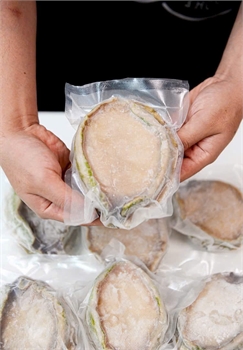 Bào ngư viền xanh Tasmanian size đại 250-300gr_con (không vỏ)