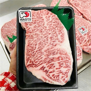 THĂN NGOẠI NHẬT A5 250gr