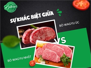 Bò Wagyu Úc và Nhật Bản có gì khác biệt? Phân tích chi tiết