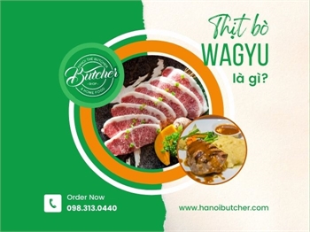 Bò Wagyu là gì? Tất tần tật thông tin về bò wagyu Nhật Bản