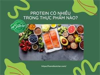 [Giải Đáp Thắc Mắc] Protein Có Nhiều Trong Loại Thực Phẩm Nào